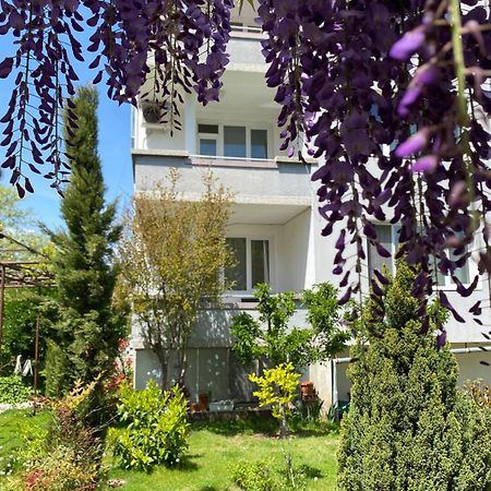 Family Hotel "May" Petrič Esterno foto